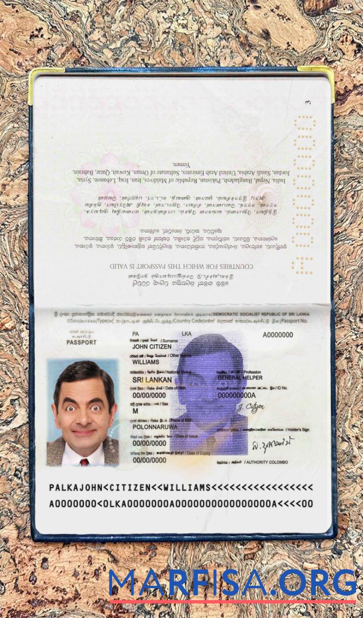 Downloadable Sri Lanka passport photo look download for verification